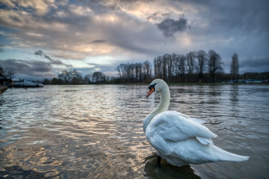 Staines-upon-Thames, England