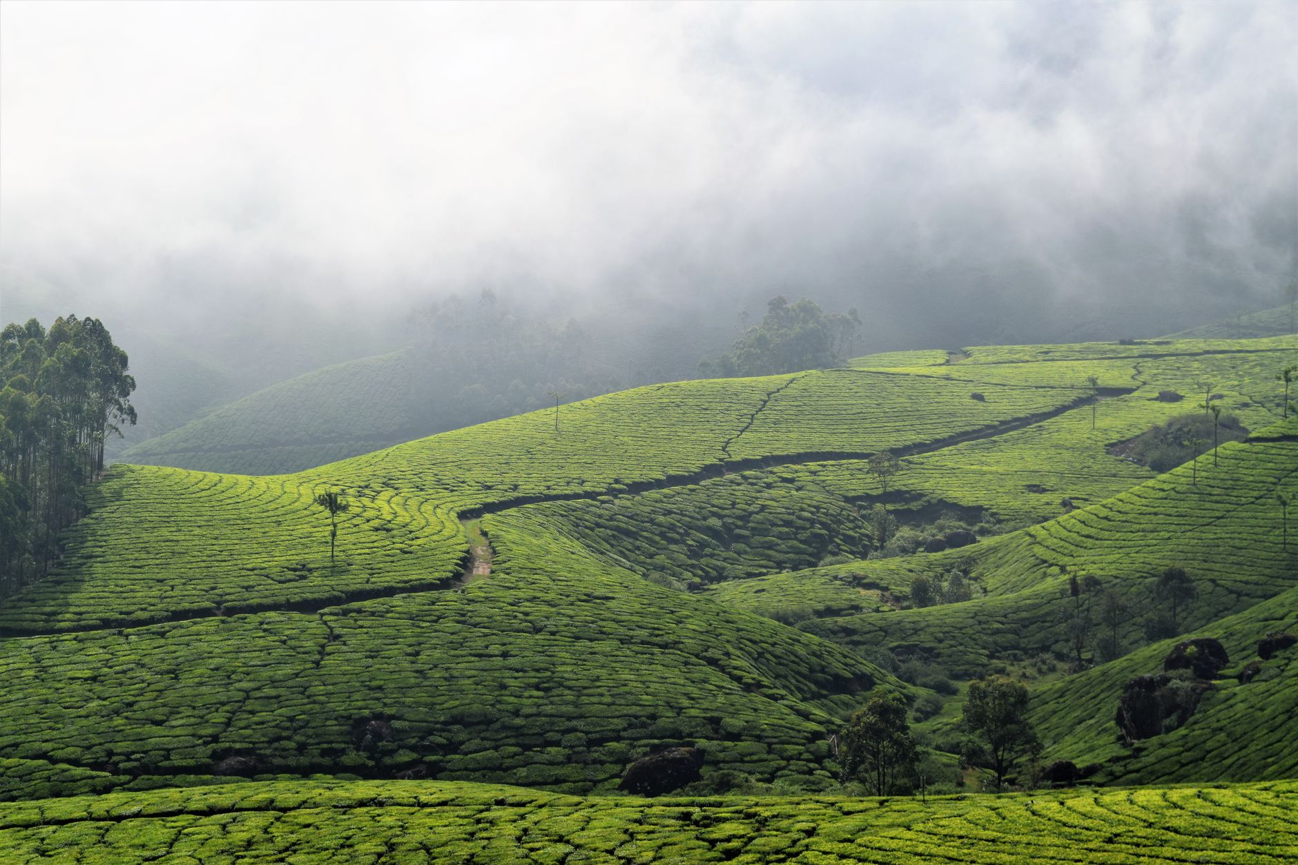 Lush green landscape of Kerala with distant hills and a winding river under a clear sky.