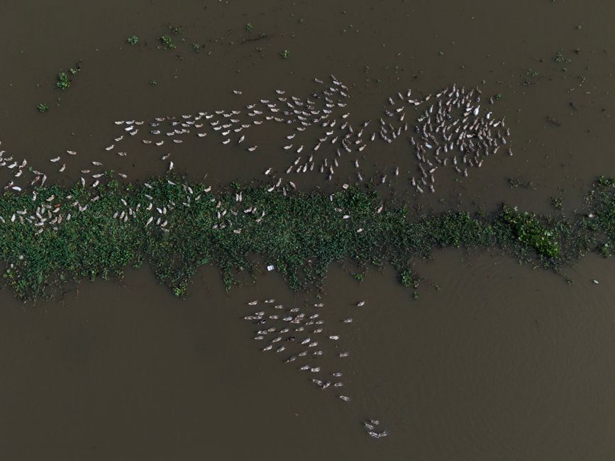 Thrissur District, Kerala, India
