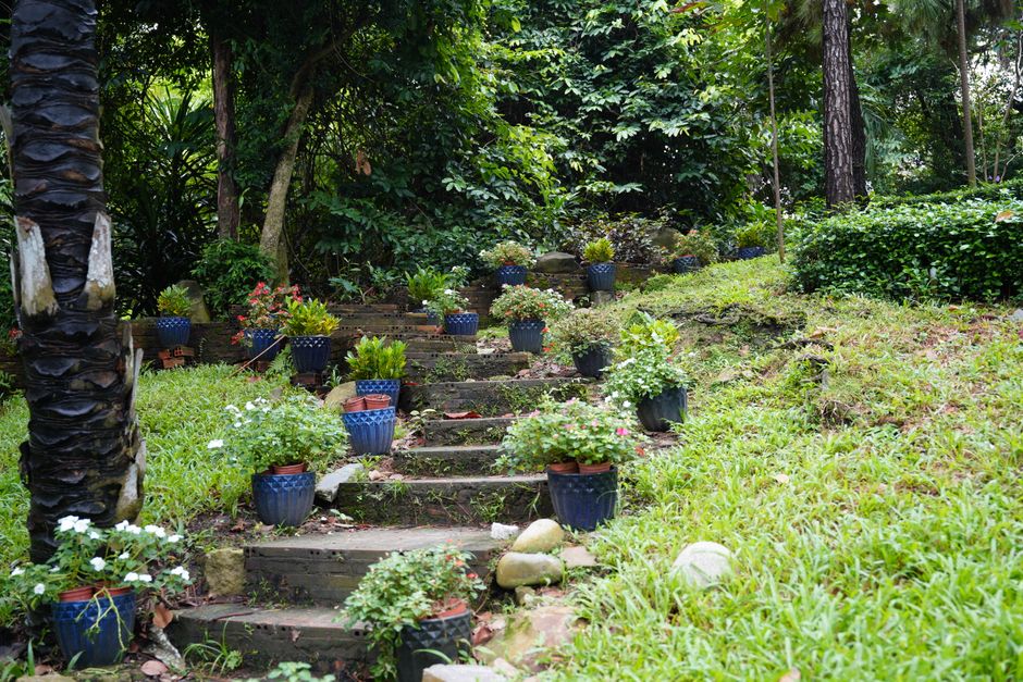 Athirappilly, Kerala, India