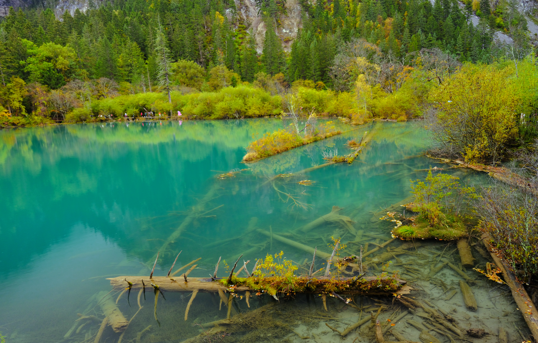 Lake Kaindy, Kazakhstan