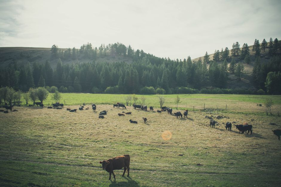 Calgary, Alberta, Canada