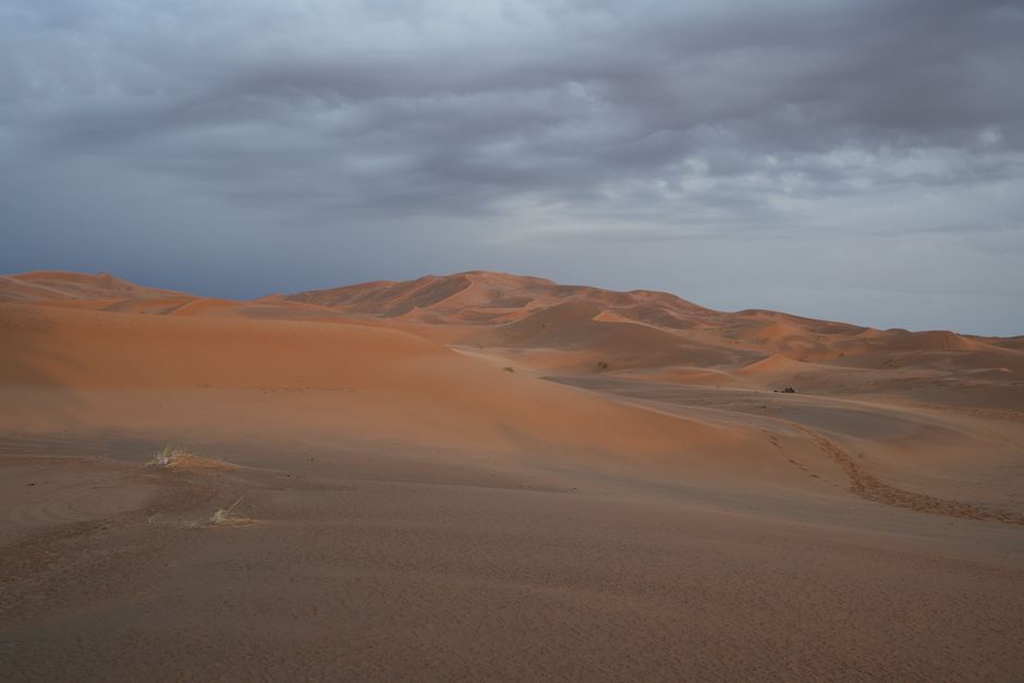 Erg Chebbi, Morocco