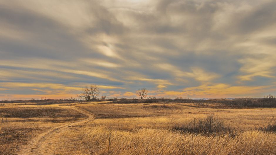 Hafford, Saskatchewan, Canada
