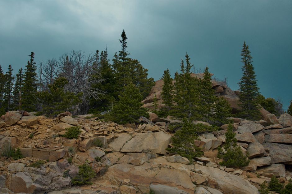 White Mountains, California, USA