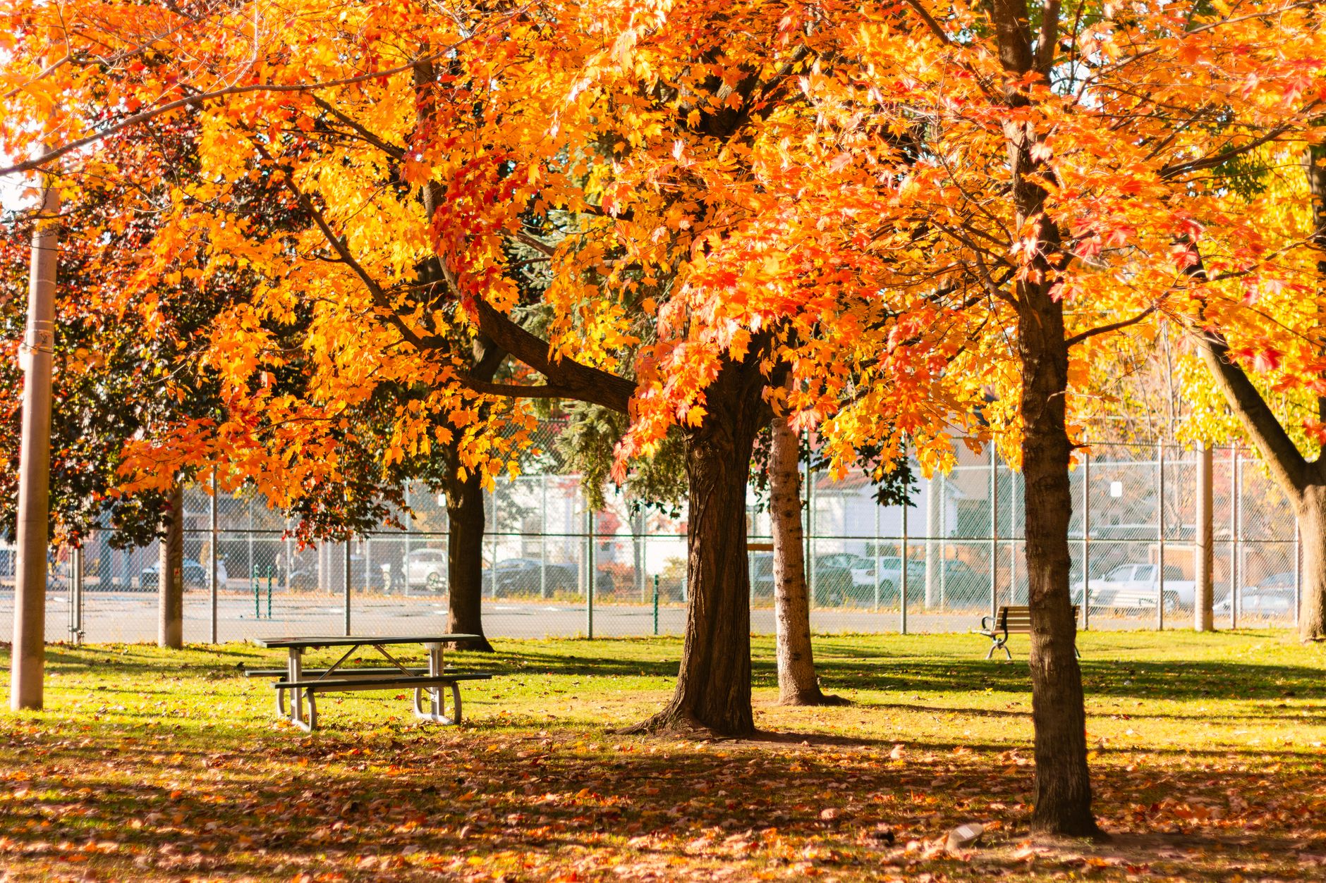 How Cold Does it Get in Toronto, Montreal, Quebec During Oct? Uncover Hidden Histories
