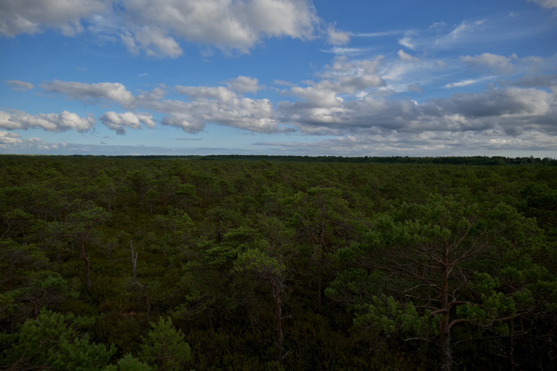 A sweeping aerial view of a remote, ancient landscape at sunrise, evoking a sense of mystery and discovery.