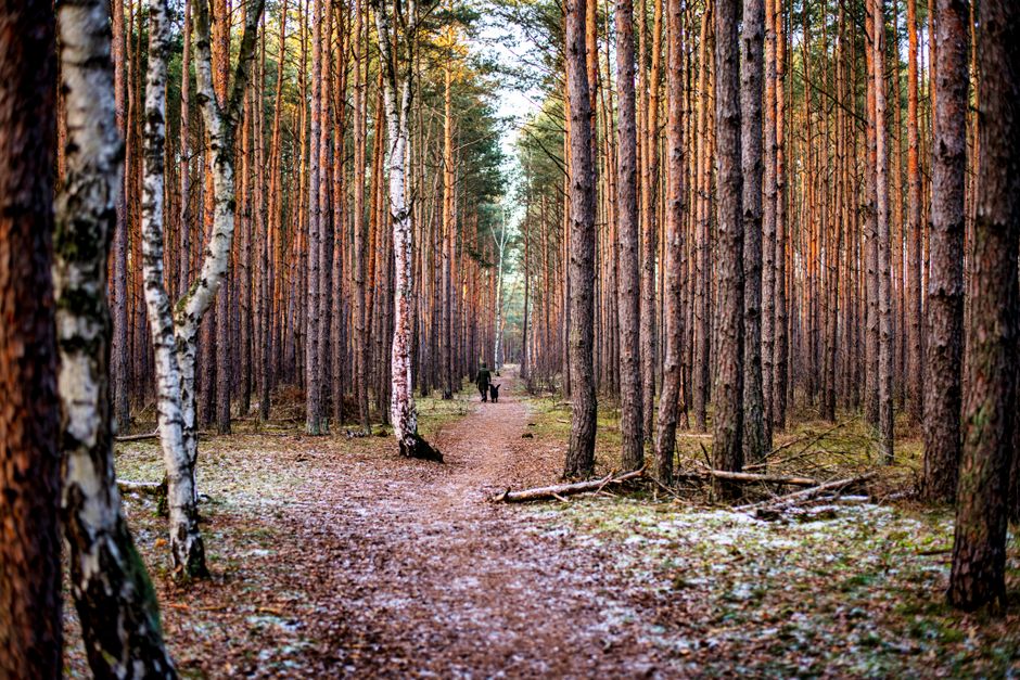 Gryfino, Poland