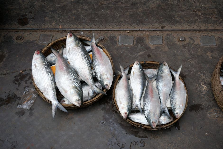 Kolkata, West Bengal, India