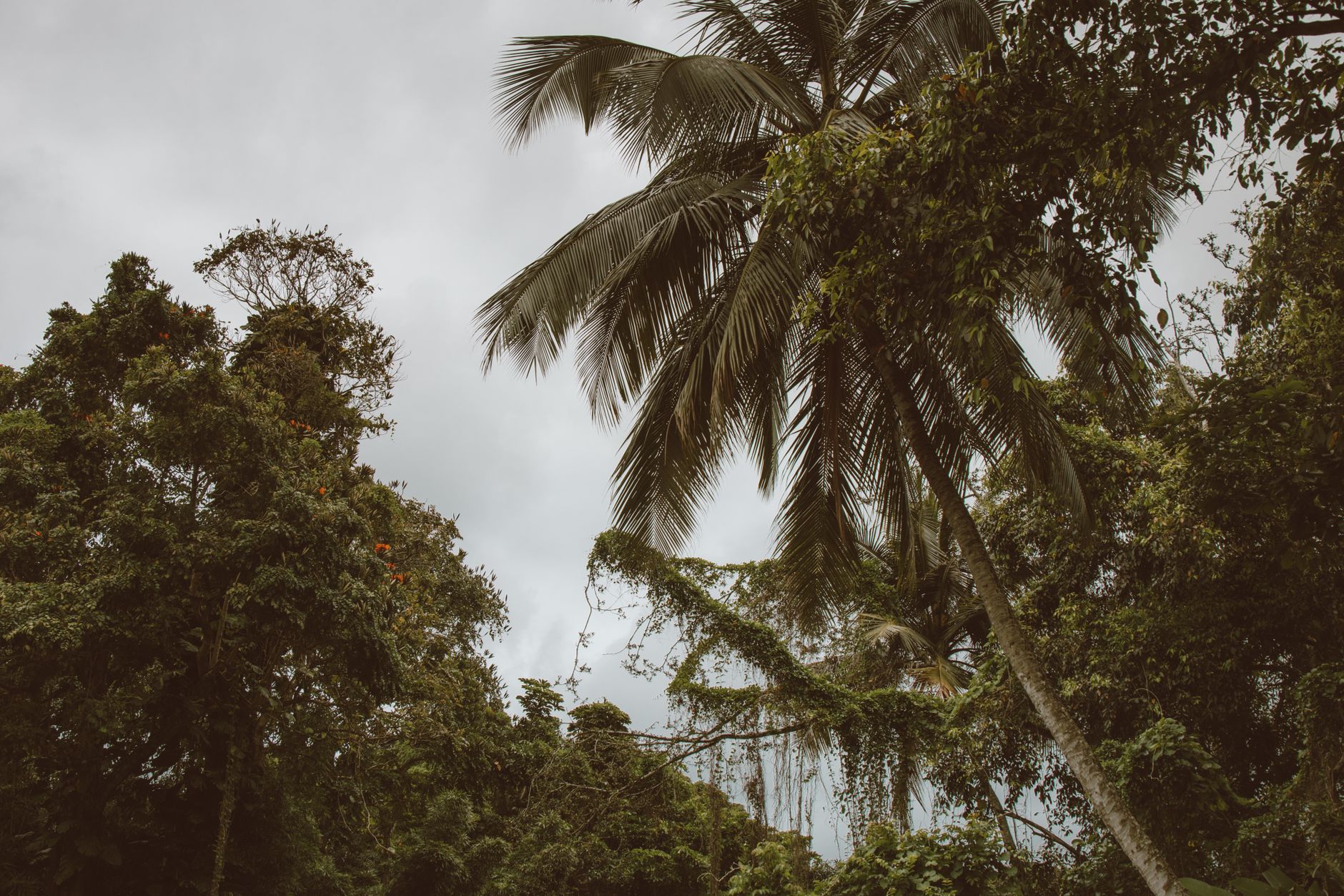 Ross Island, Andaman & Nicobar Islands, India