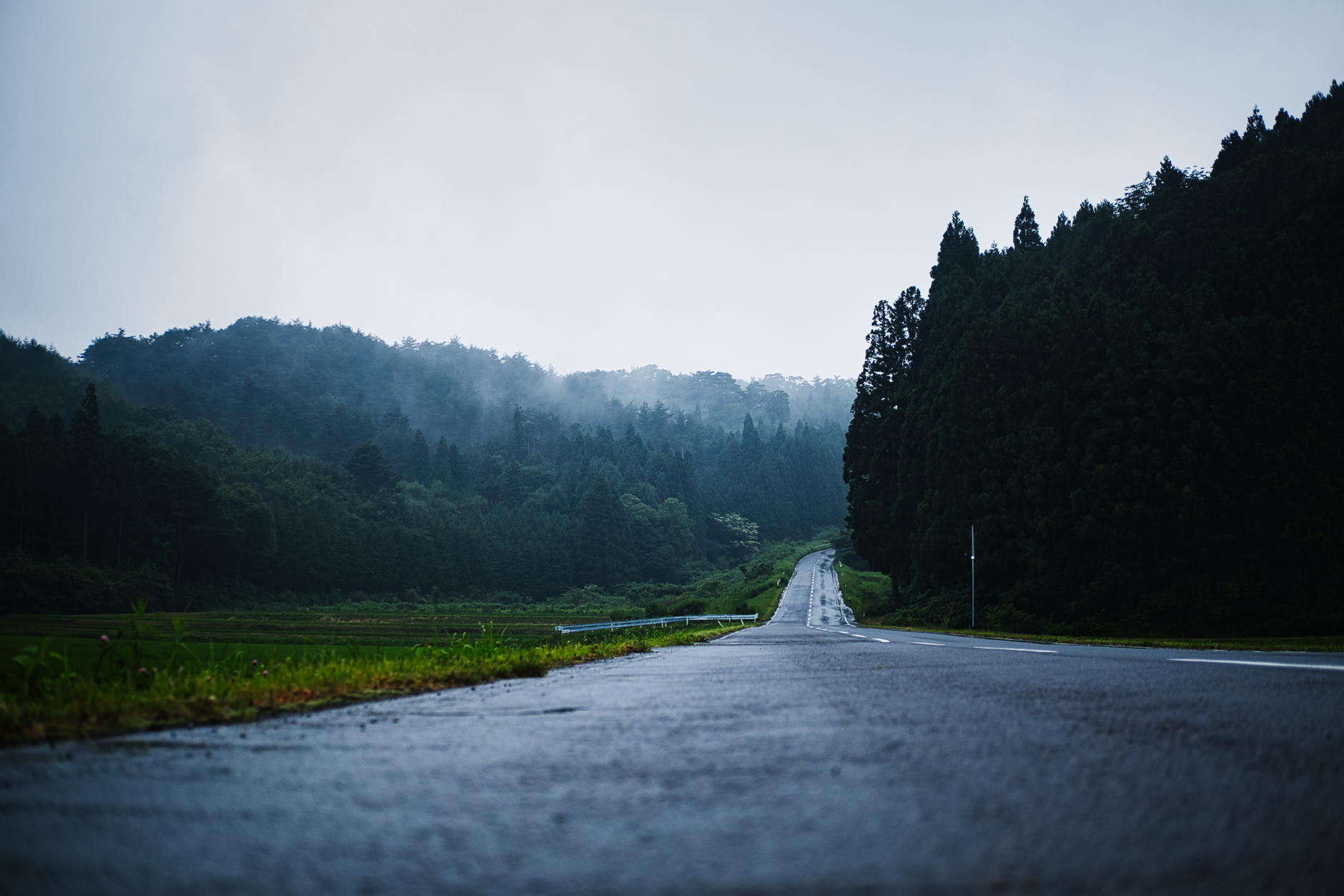 How Does Rain Affect Your Daily Travel Budget? Hidden Wonders Revealed