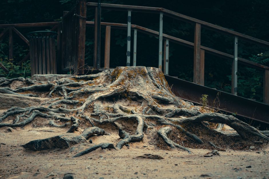 Cherrapunji, India