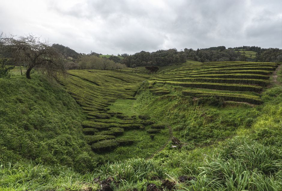 Azores Archipelago, Portugal
