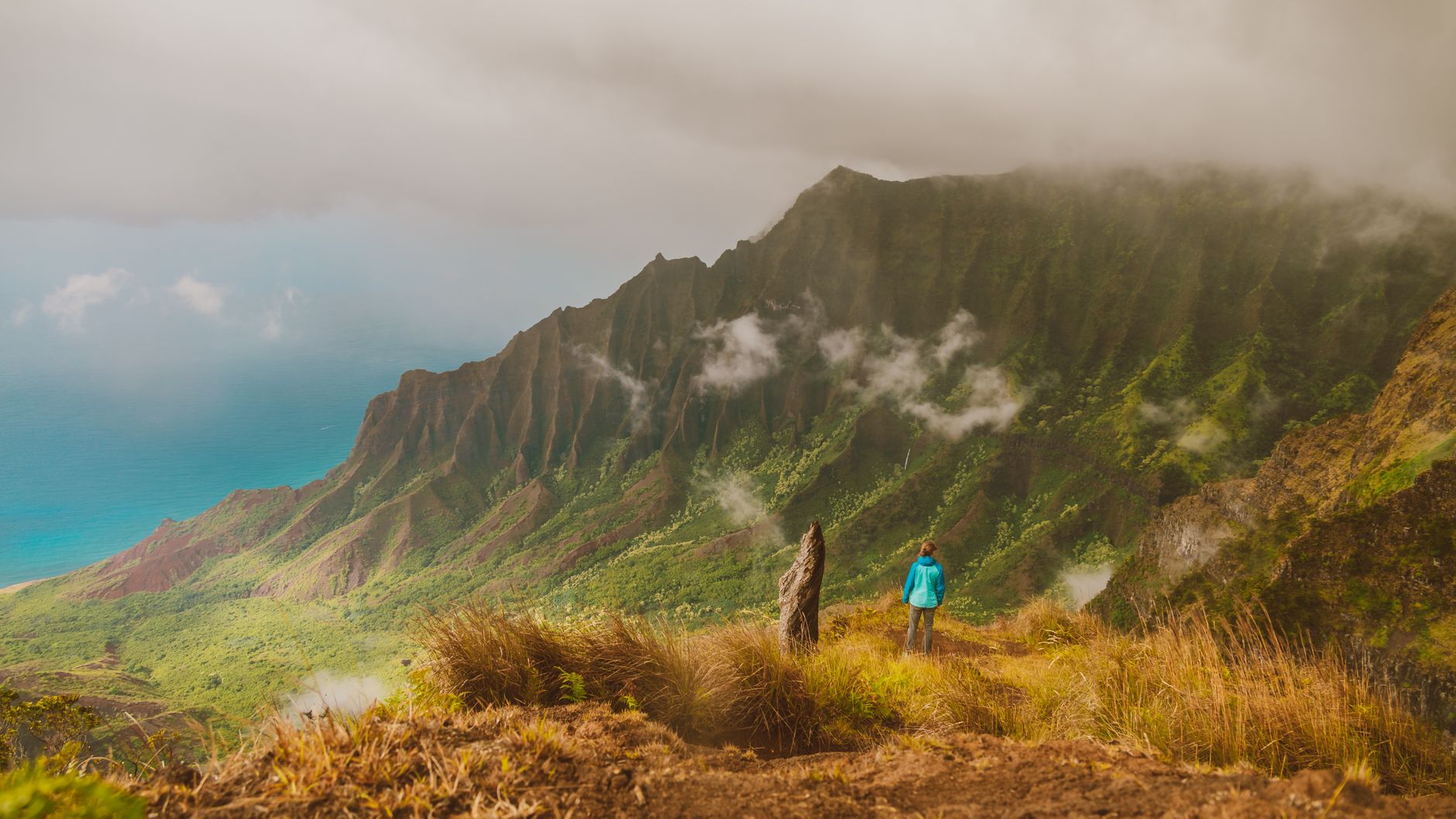 How does the feeling of home change when you move across the world? Seek the unfamiliar.