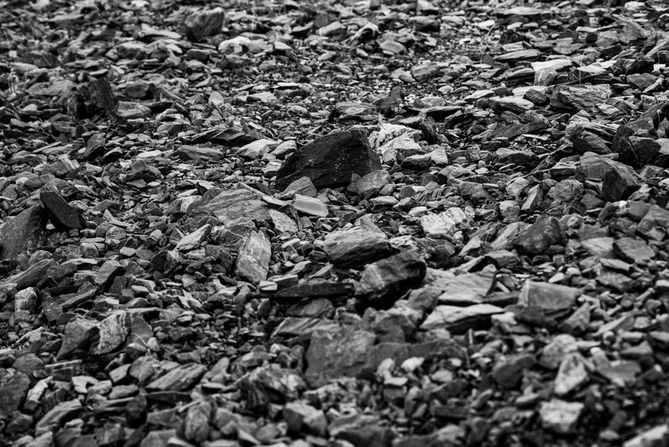 Tung Ping Chau, Hong Kong