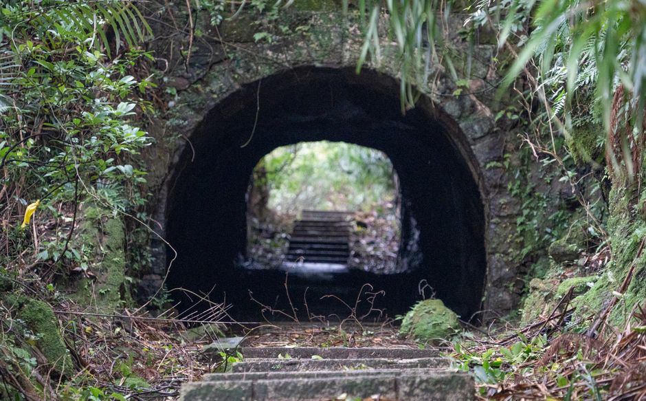 Shing Mun Country Park, Hong Kong