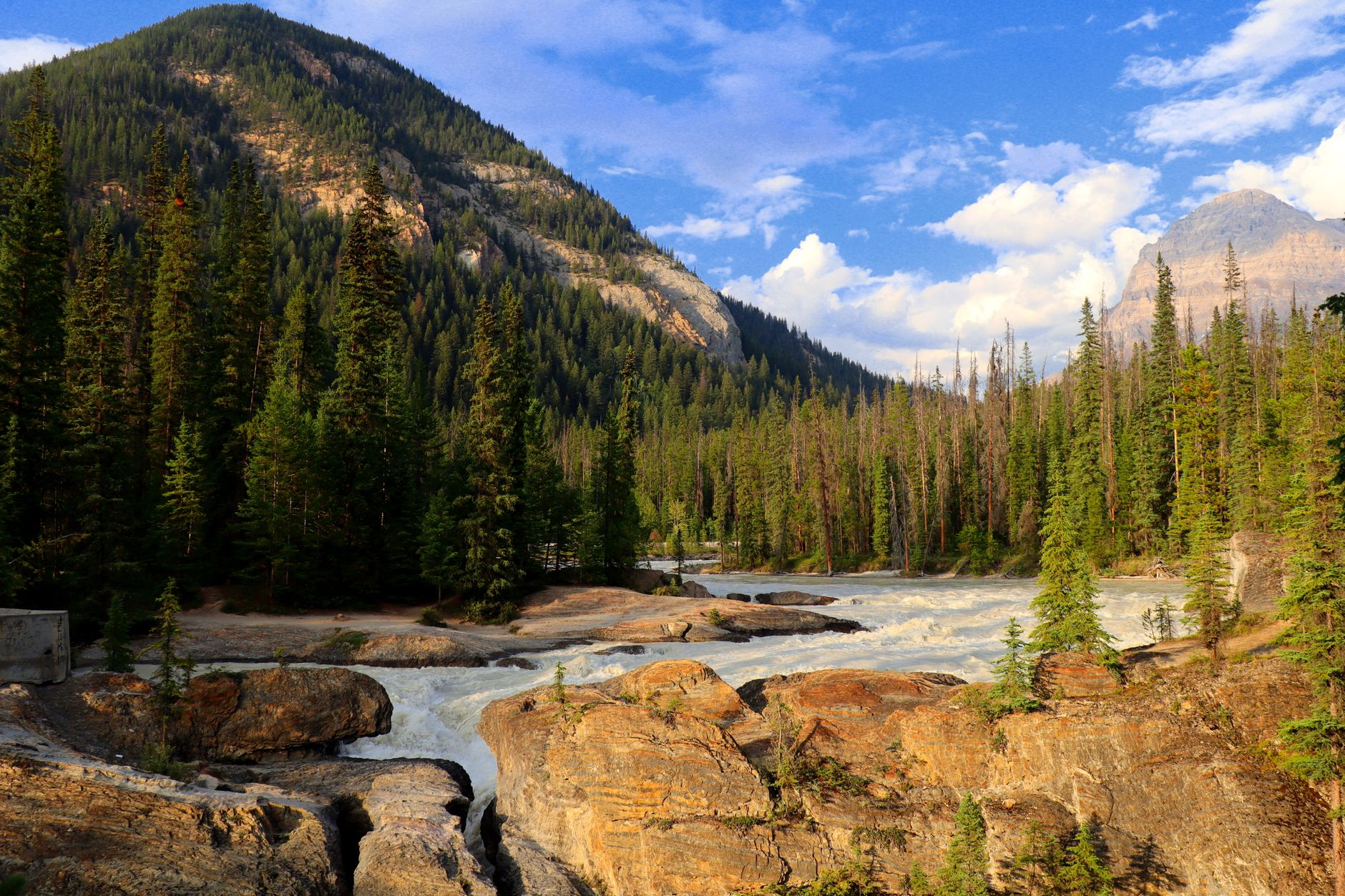 How is living in Canada compared to the USA? Uncovering 8 Unique Corners