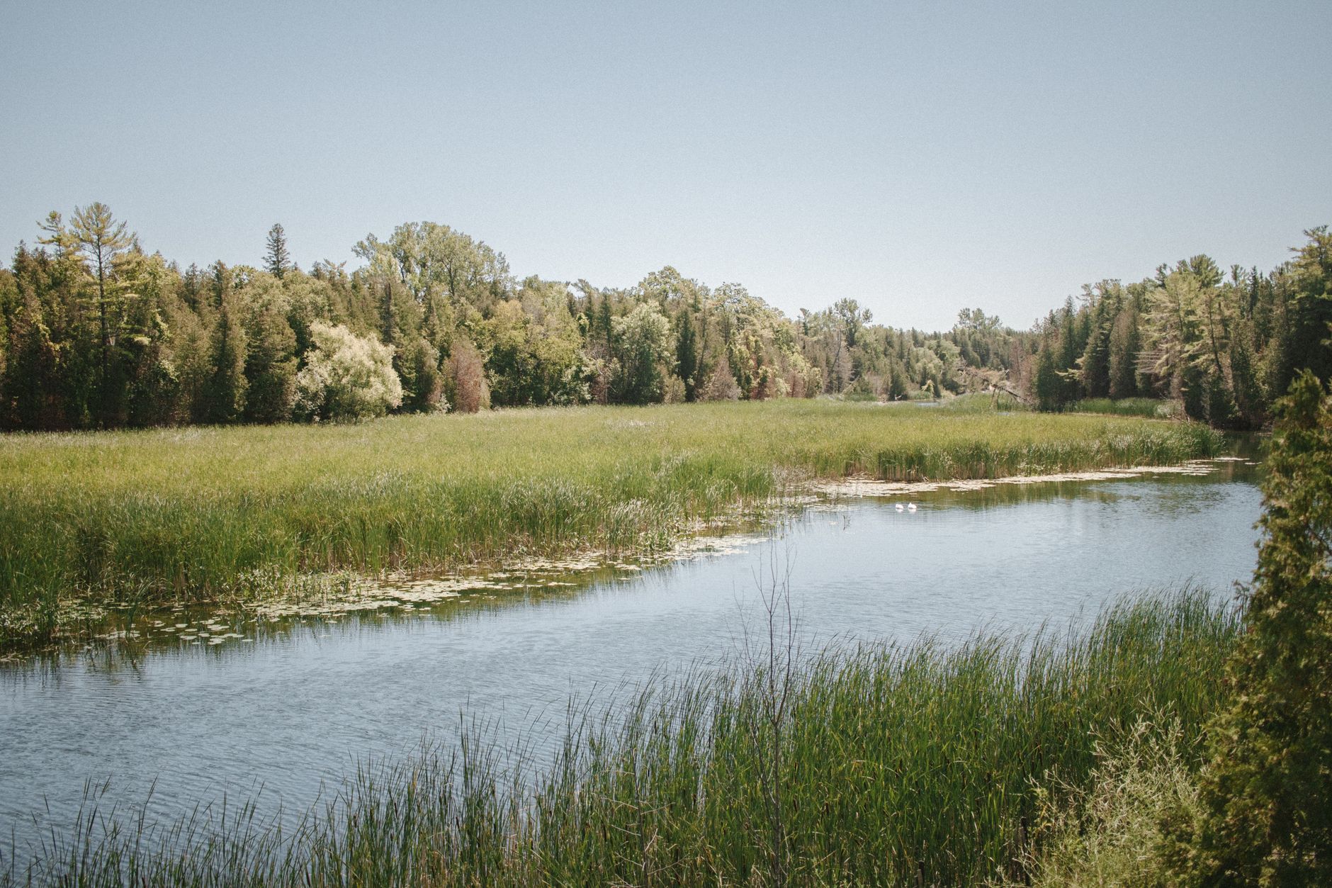 How Much Does Furnace Repair Cost in Caledon, Ontario? Unearthing 8 Surprising Local Secrets