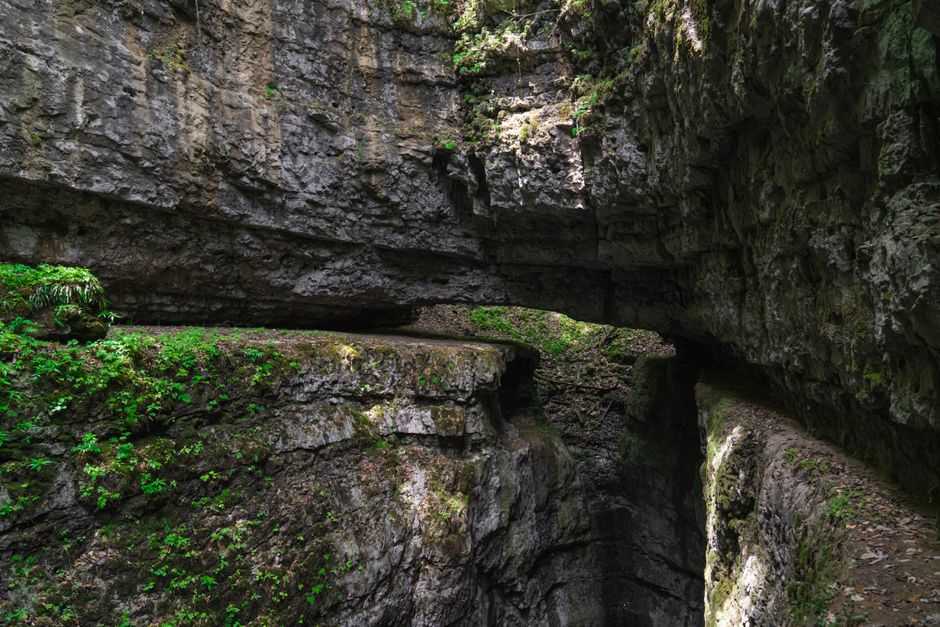 Forks of the Credit Provincial Park, Canada