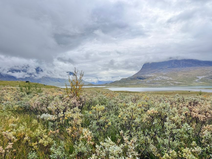 Saltfjellet, Nordland, Norway