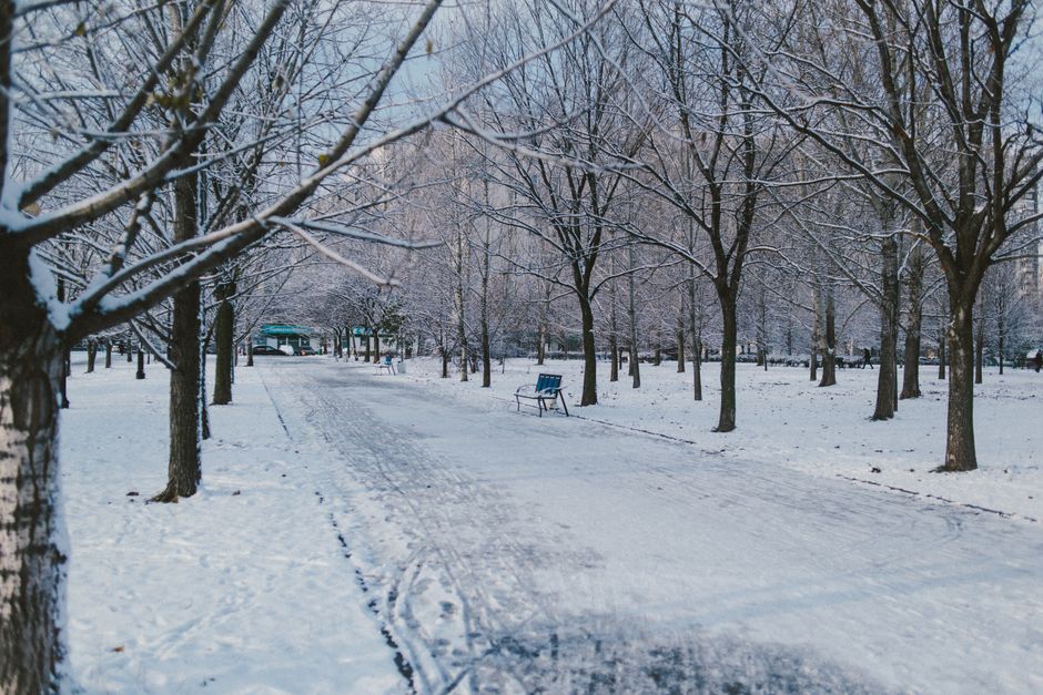 Parc La Fontaine, Canada