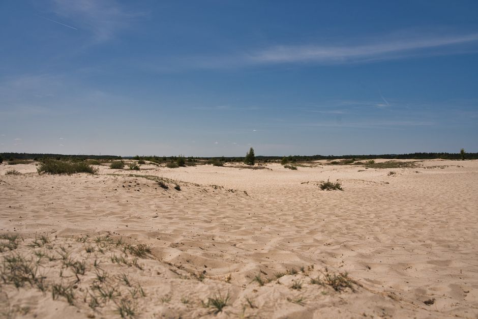 Błędów, Poland