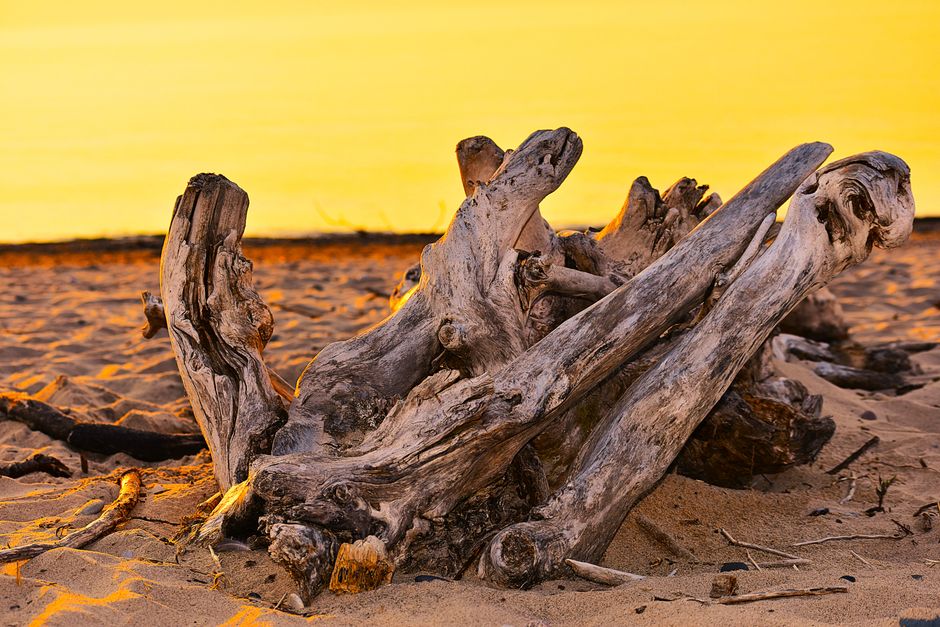 Presqu'ile Provincial Park, Ontario, Canada