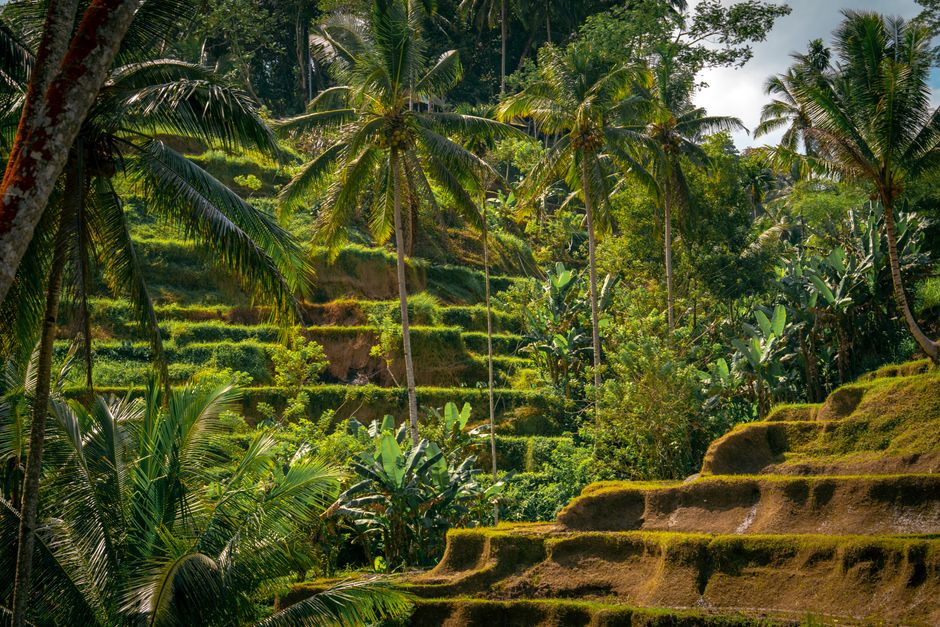 Ciudad Perdida, Colombia