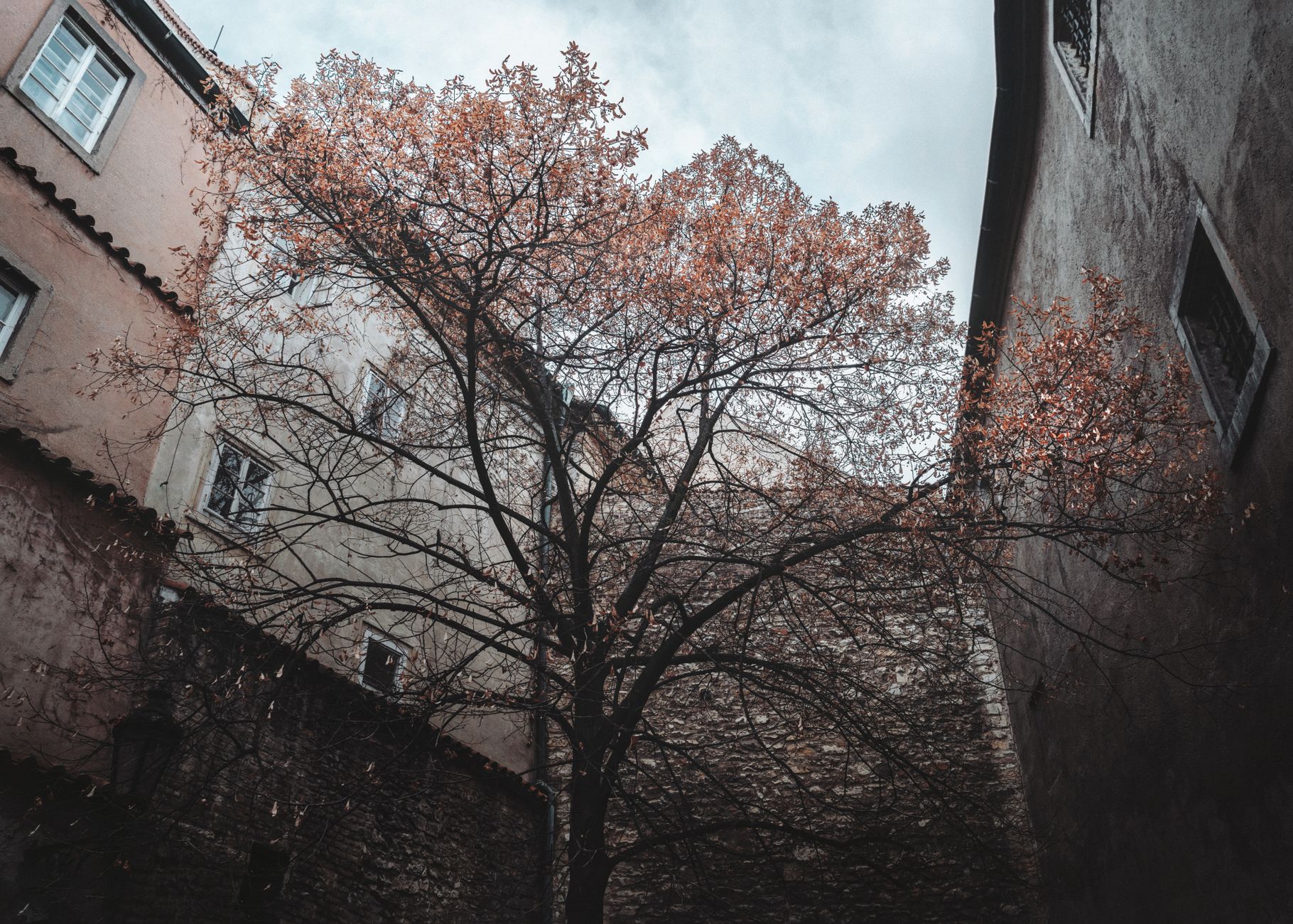 A charming, narrow cobblestone street in Old Montreal, lined with historic French colonial buildings and bustling with pedestrians, under a soft morning light.