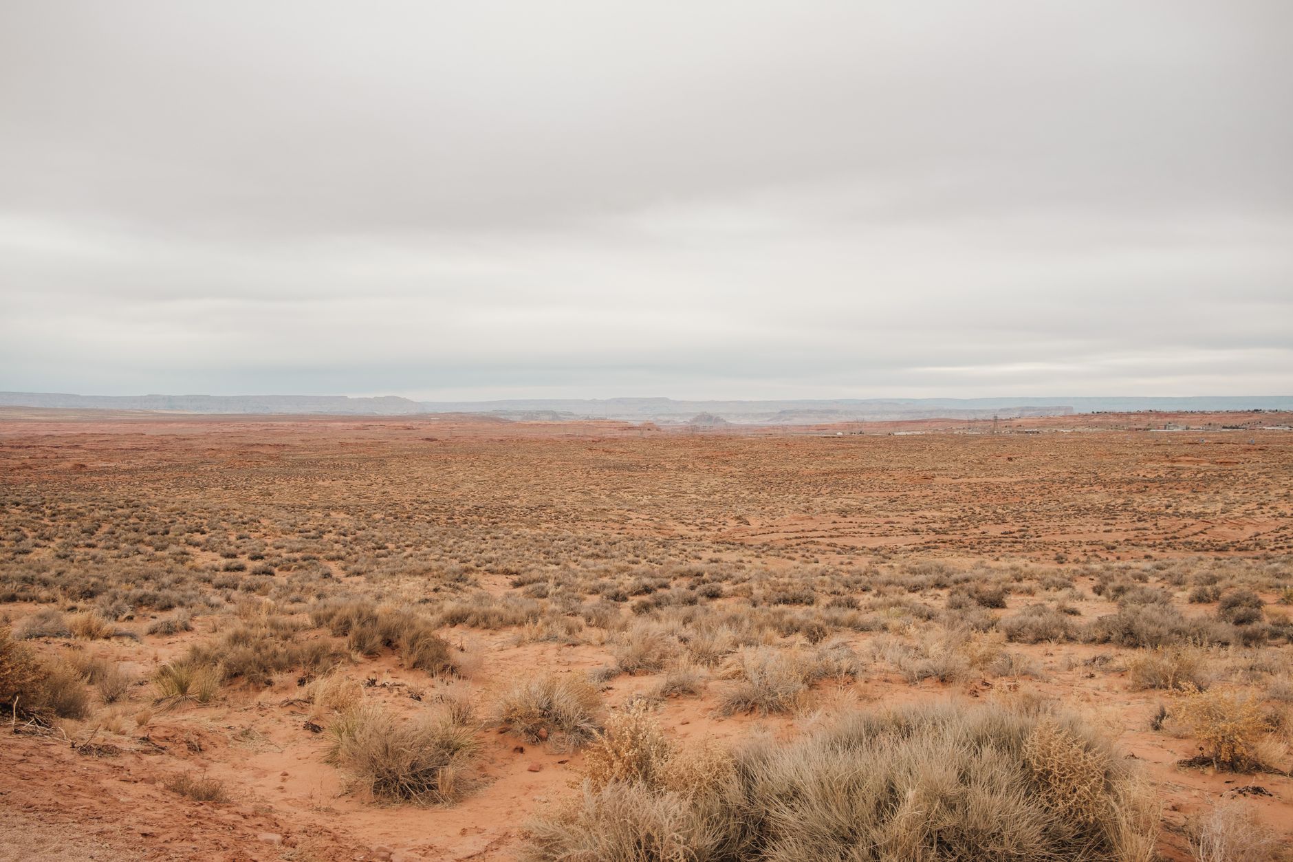Sweeping panoramic view of the vast Sonoran Desert in Arizona, with saguaro cacti under a dramatic sky, evoking the grandeur of the American West.