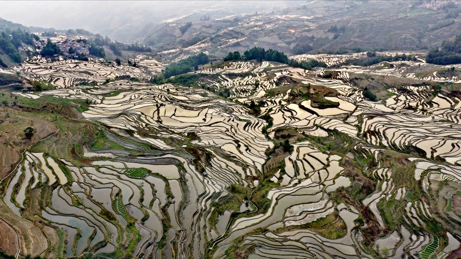 Yuanyang Hani Rice Terraces, China