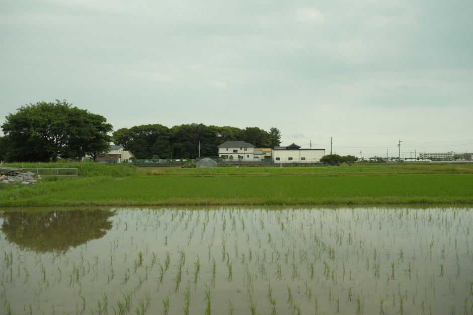 Inakadate Village, Japan