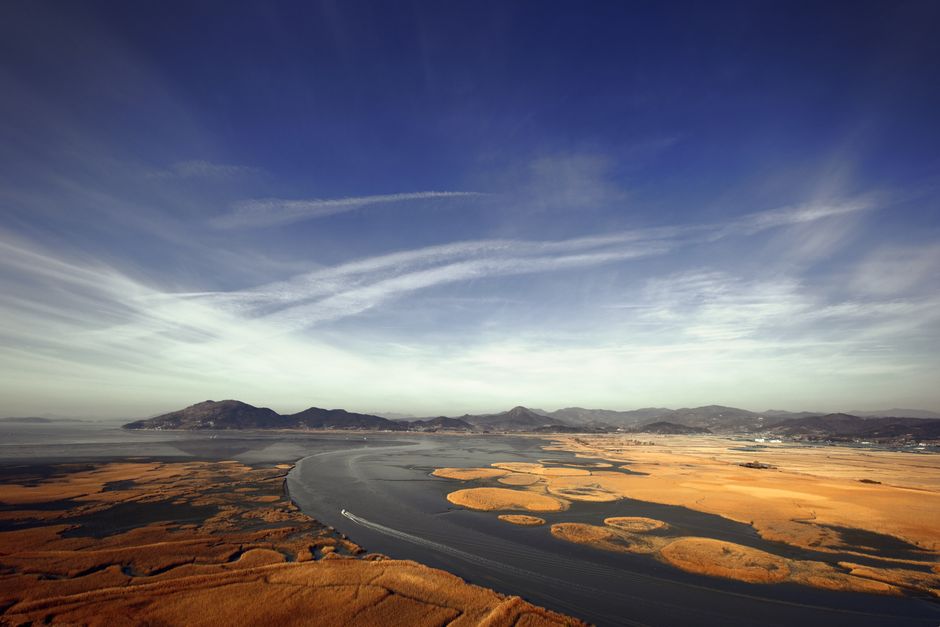 Suncheon Bay National Garden, South Korea