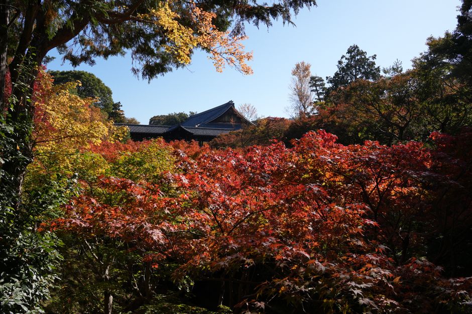 Konkai-Komyoji Temple (Kurotani Temple), Kyoto, Japan
