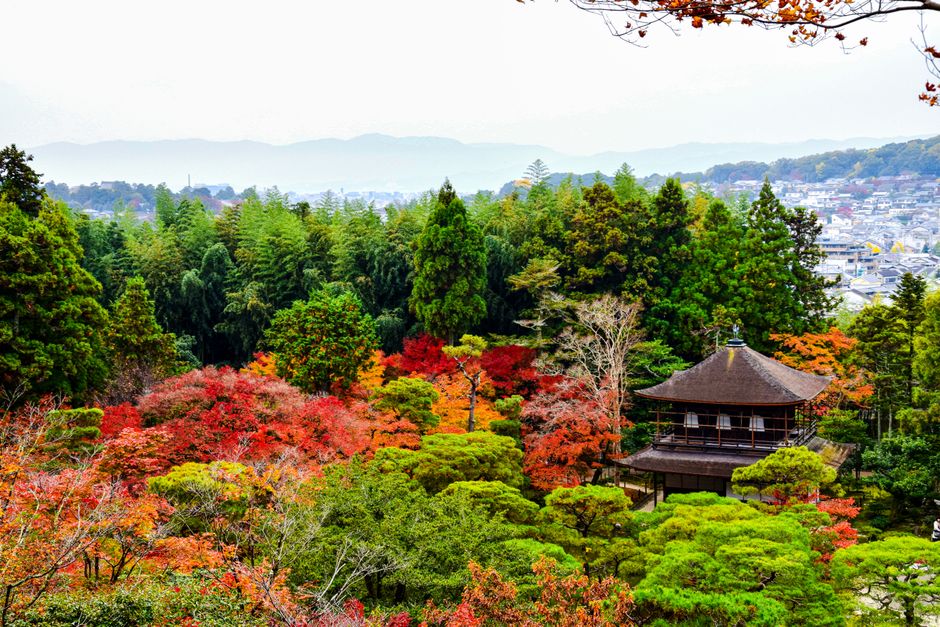 Koto-in Temple, Kyoto, Japan