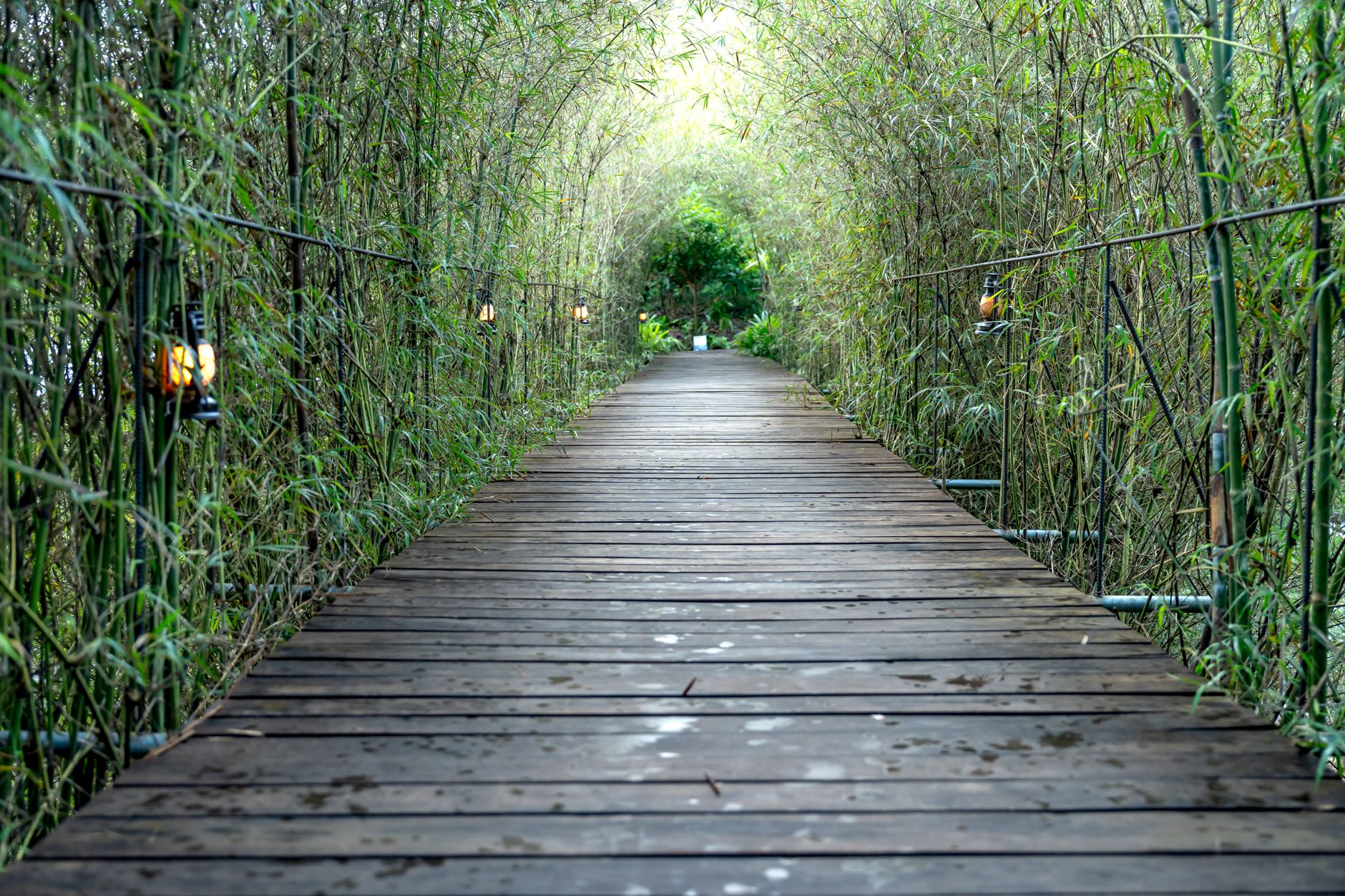 Arashiyama, Kyoto, Japan