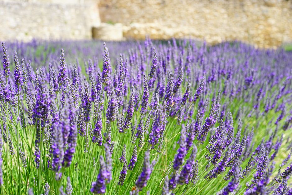 Ferrassières, France