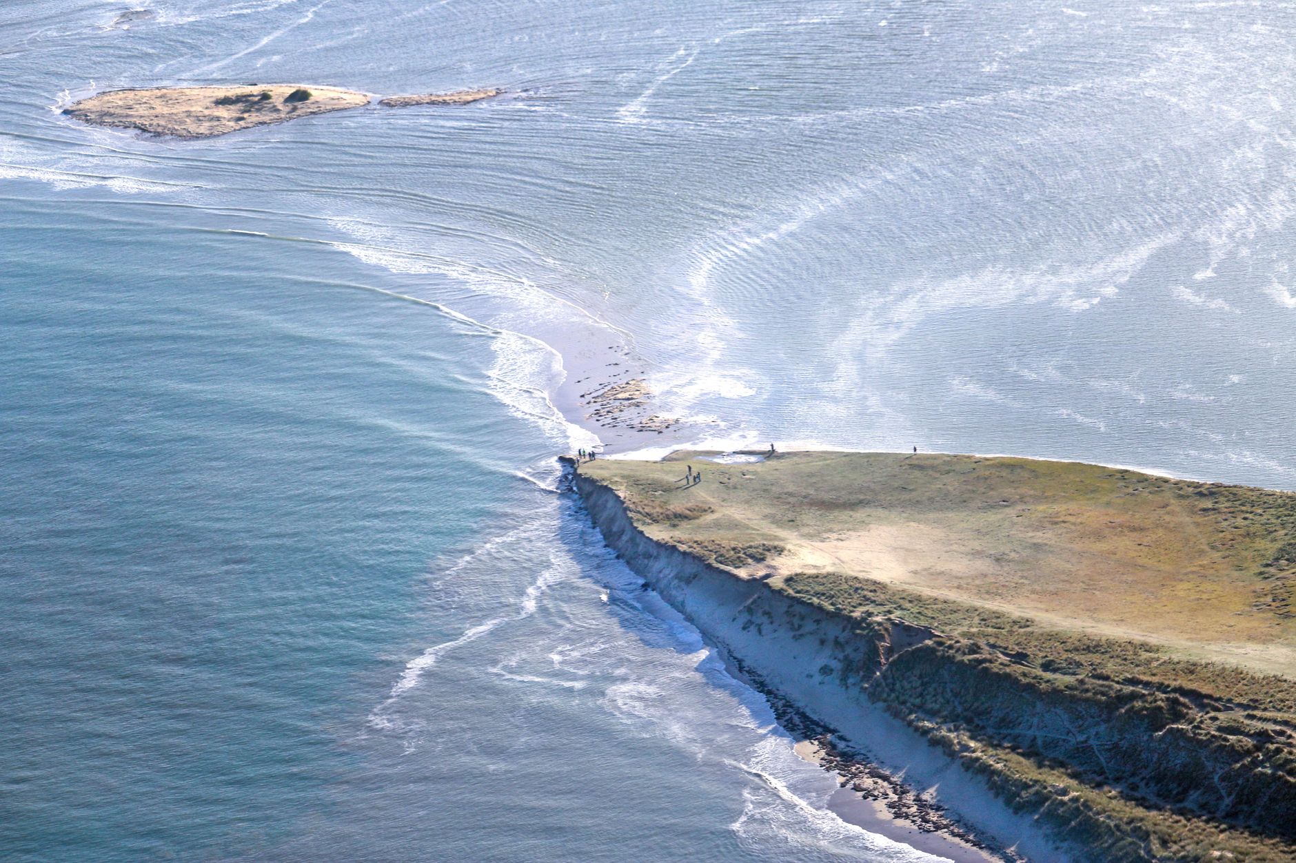LI's Hidden Feast: Do sharks travel from tropical southern waters here?