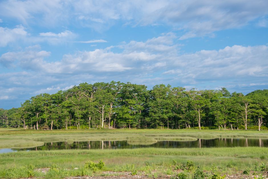 Plum Island, New York, USA