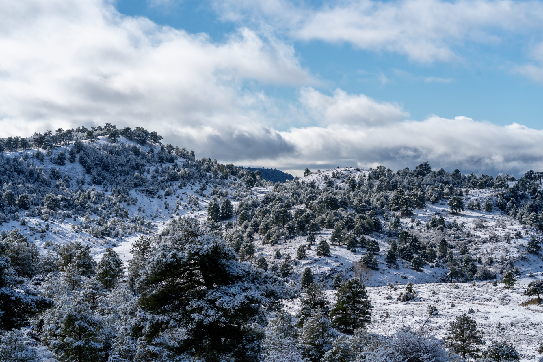 Sierra de las Nieves National Park, Spain