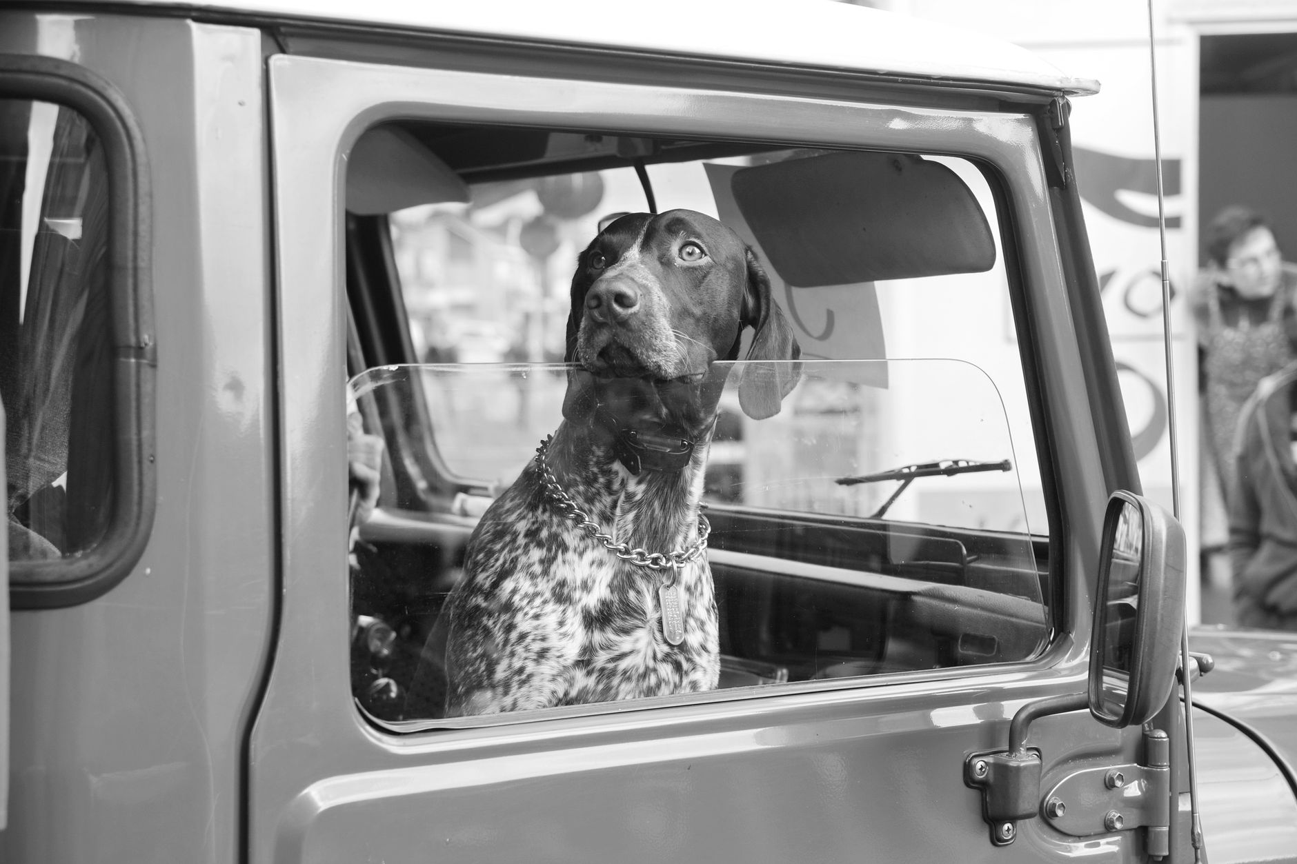 Orlando, Florida, to PA Dutch Country with Dog: Hidden Gems Await