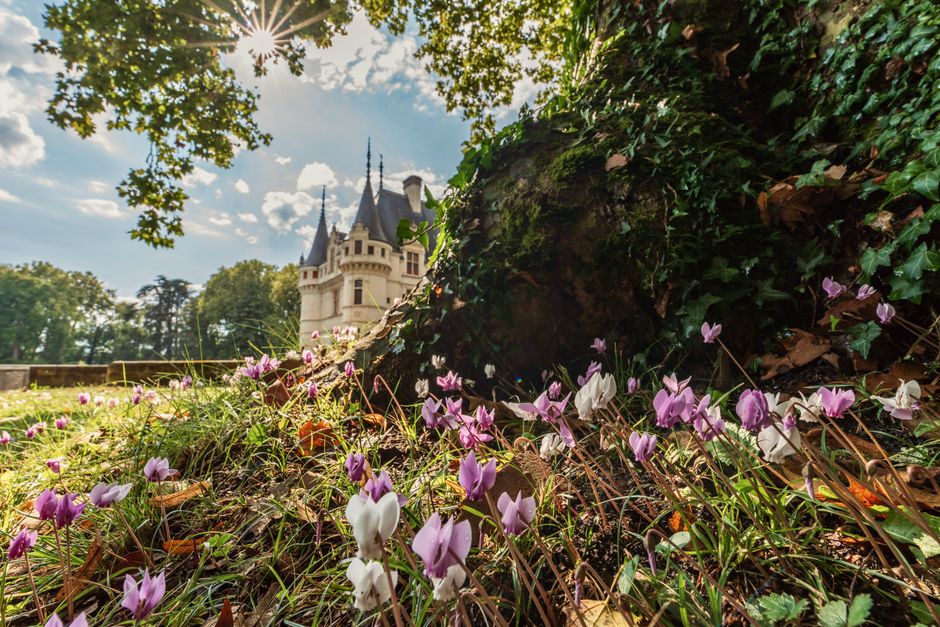 Blandy-les-Tours, France