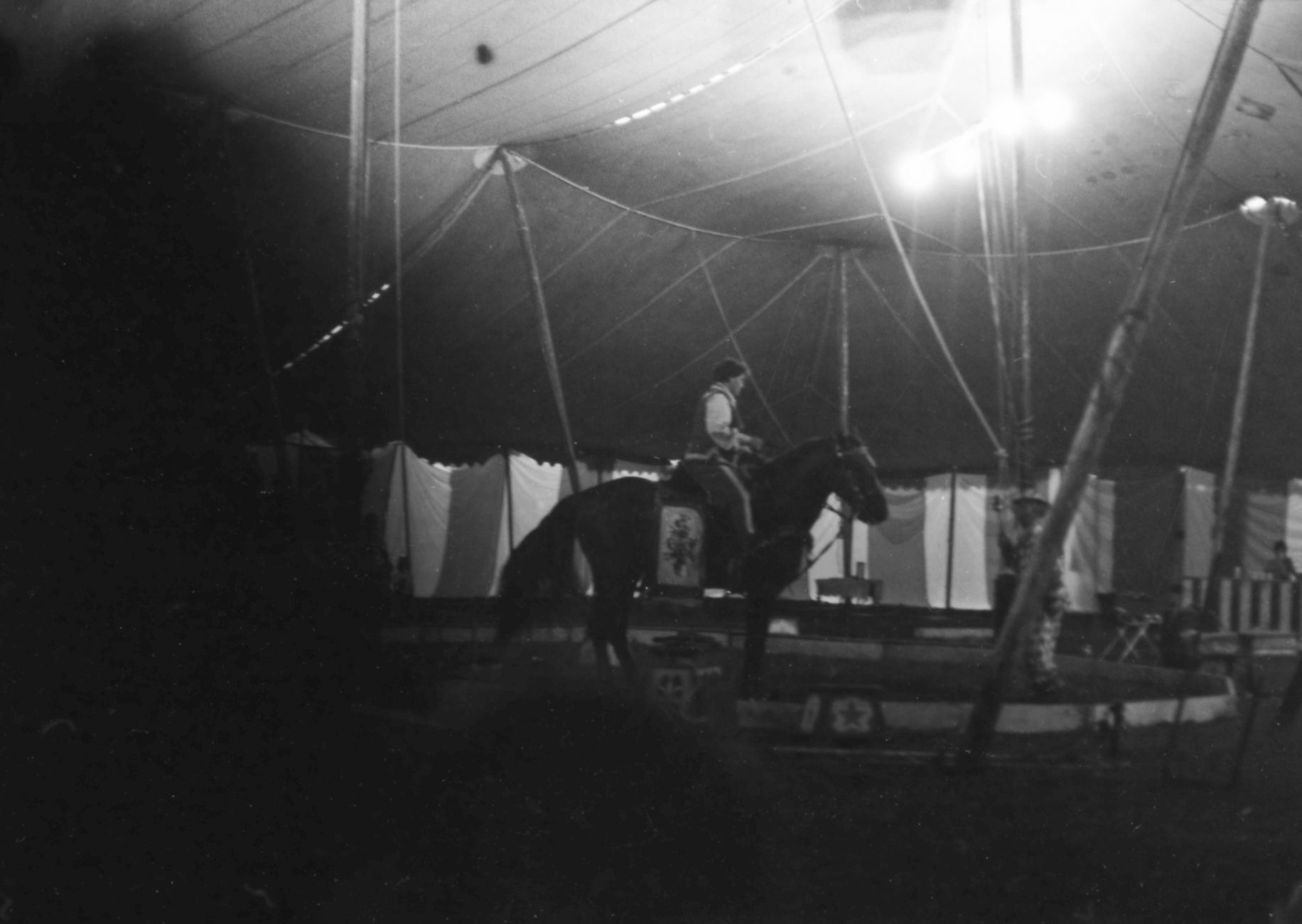 A vibrant, sweeping view inside a historic circus tent, with performers on stage and a captivated audience in the dimly lit grandstands.