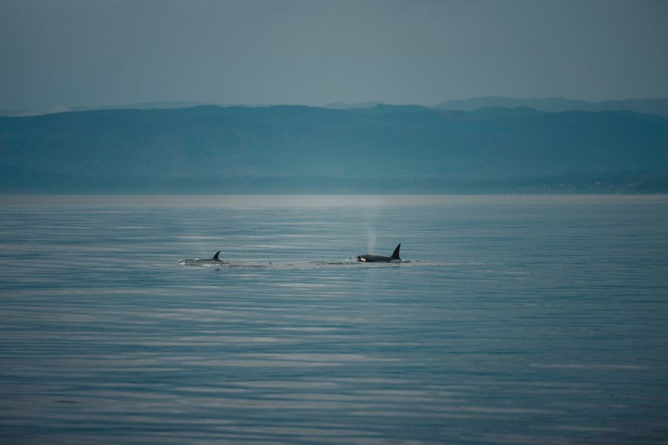 Tadoussac, Quebec, Canada