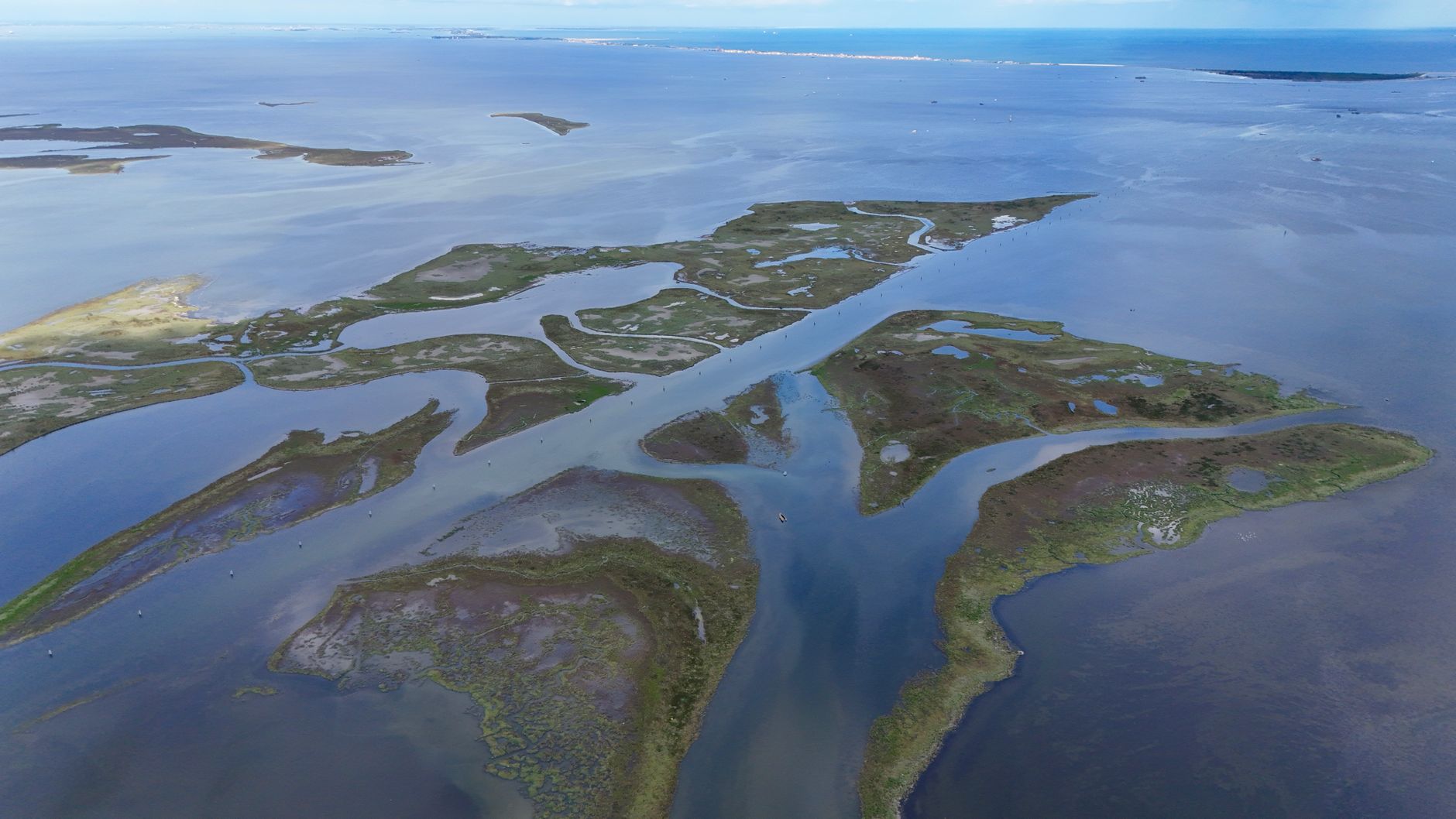 Sweeping aerial view of Georgia's golden salt marshes meeting a tranquil coastline at sunrise