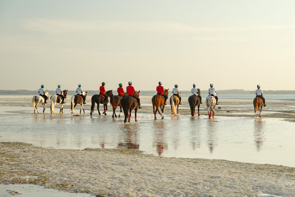 Cumberland Island National Seashore, Georgia, USA