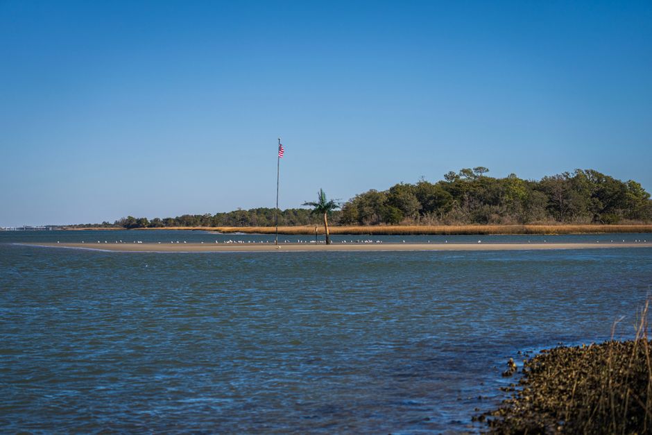 Sapelo Island, Georgia, USA