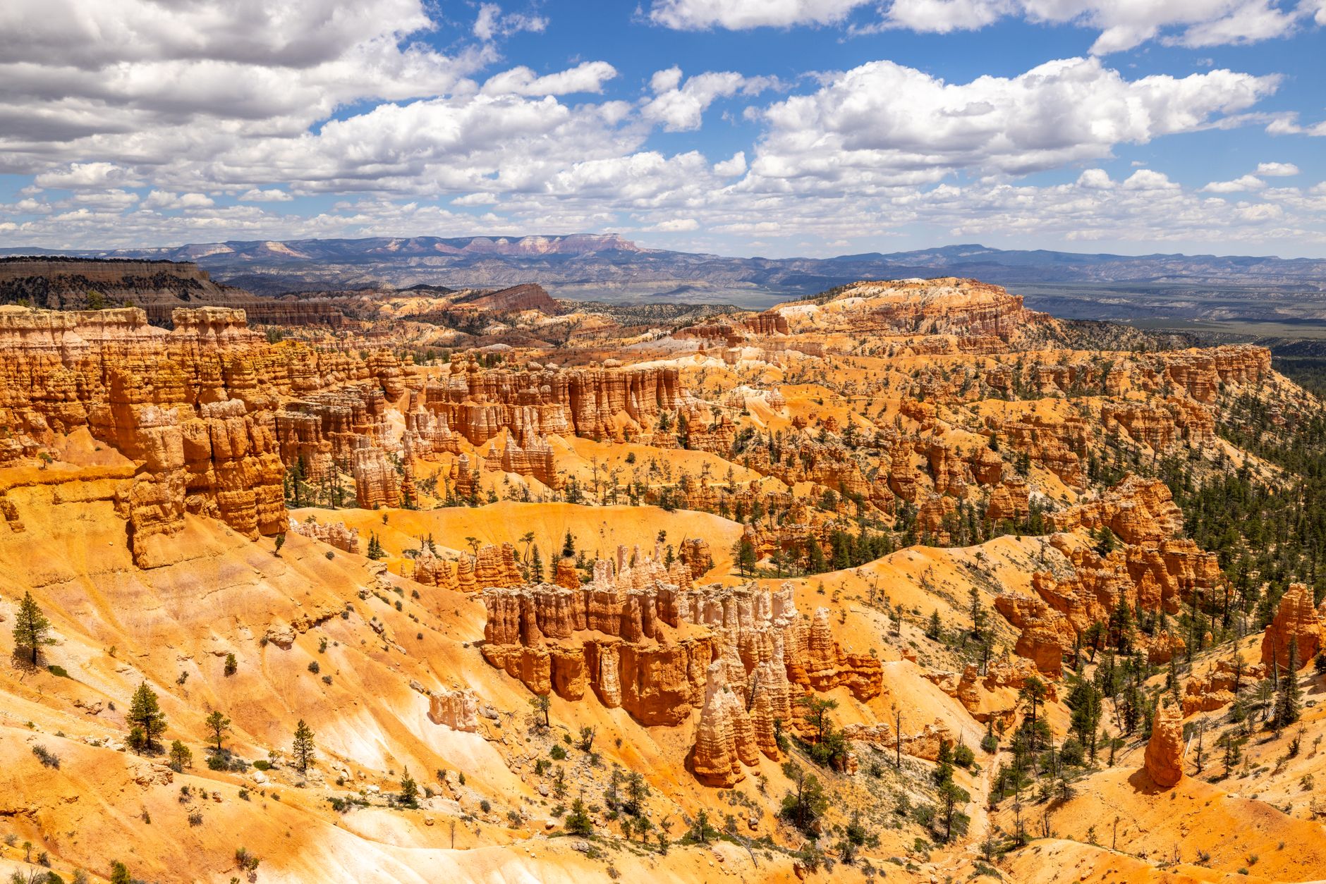 A panoramic view of a majestic national park landscape in summer, with towering mountains, a winding road, and a pristine lake.