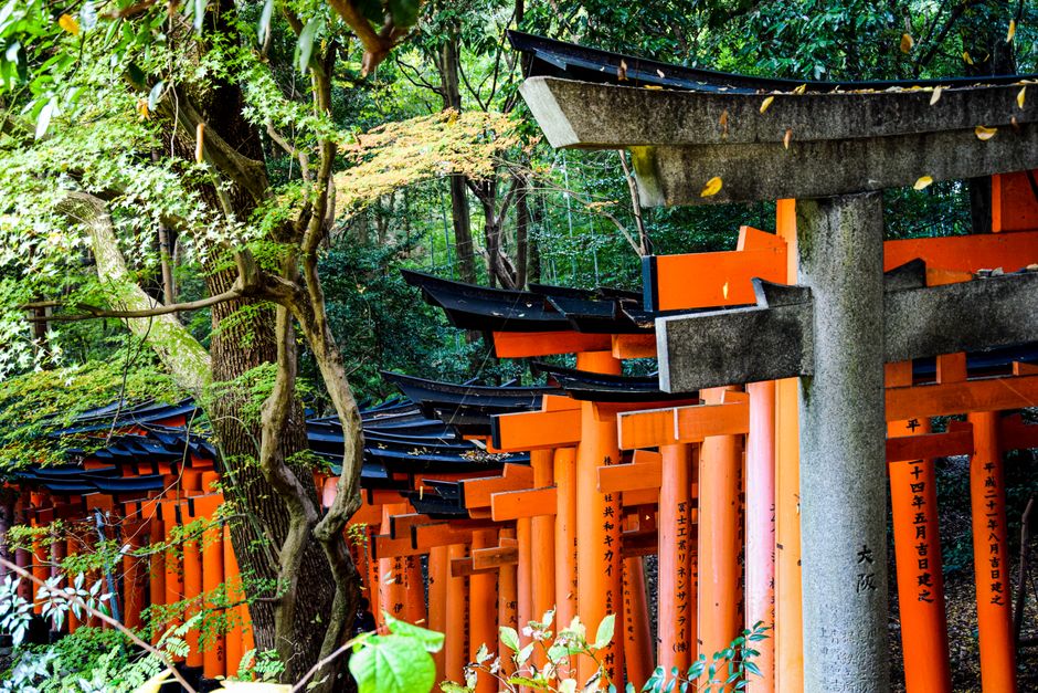 Nezu Shrine, Tokyo, Japan