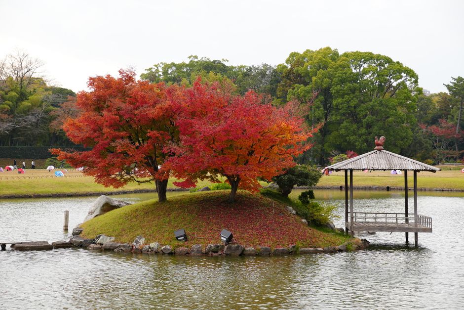 Koishikawa Korakuen Garden, Tokyo, Japan